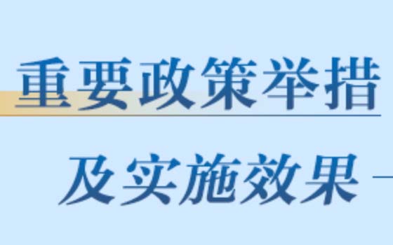 重要举措及实施效果